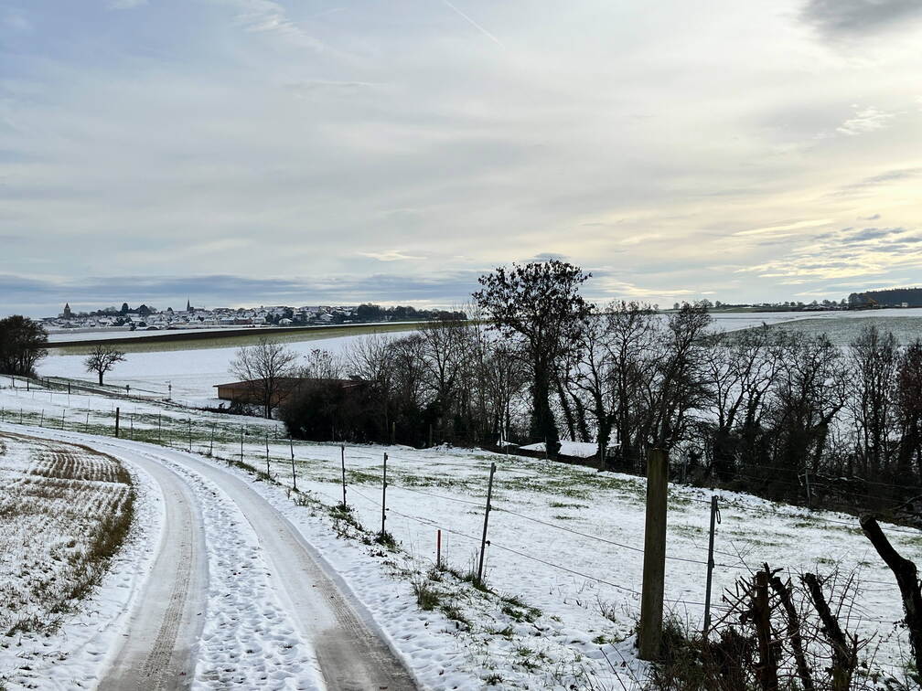 22-12-19 12-09-39 3615